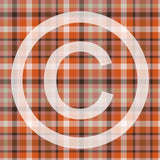 FABArt Design - Showcase SA Designer Carmen Anderson - Chintz Blender Plaid